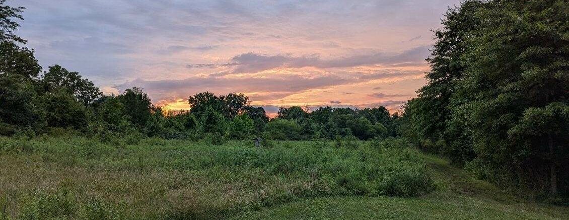 Twilight Trails: Guided Evening Hikes with John Holback